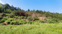 ՈbLȫ