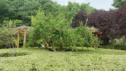 ՈیĂƷ