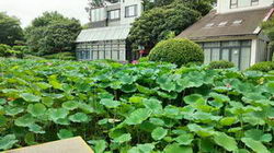tuʩʲ