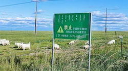 b޺zӡôȥ