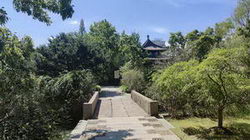 Wuذôӣ