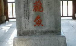 ꖹⷿشu80x