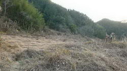 lgNôu
